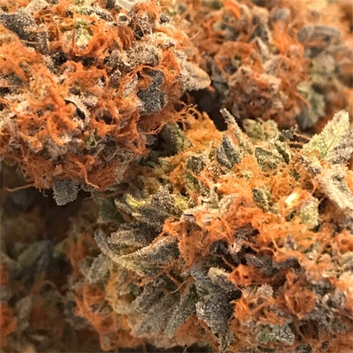 Cannatonic Marijuana Strain - Image 1